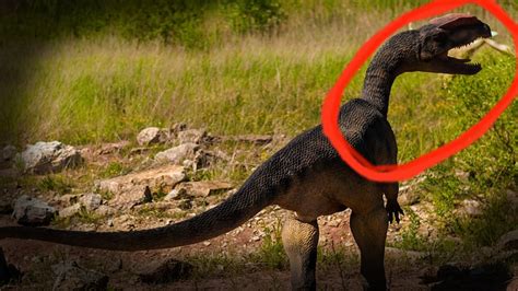 Top 5 Real Dinosaur Sightings Caught On Camera Avistamientos Captado