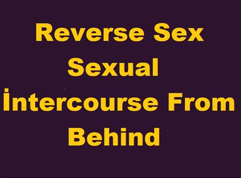 Reverse Sex Sexual İntercourse From Behind Sexual