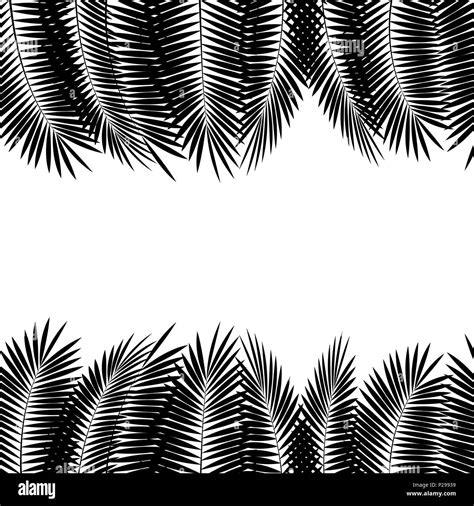 Black Palm Leaf On White Background Vector Illustration Stock Vector