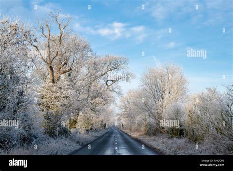 Hoar Frost Covering A Tree Lined Cotswold Road In January Near Burford