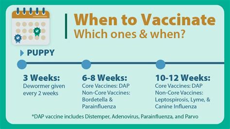 Dog And Puppy Vaccination Schedule When To Get What Shots