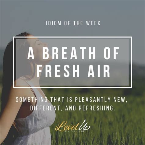 If You Describe Someone Or Something As A Breath Of Fresh Air You Mean
