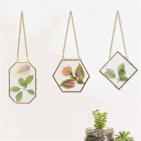 Buy Apipi 3 Pcs Glass Frame For Pressed Flowers Golden Hanging Glass