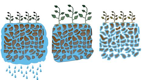 All You Need To Know About Evapotranspiration