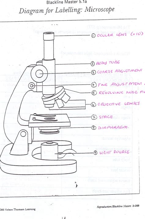 All Saints Online Diagram For Labelling Microscope