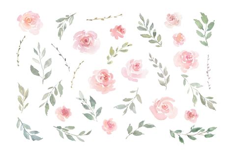 Pink Blush Watercolor Flowers Roses Png Collection By Watercolorflowers