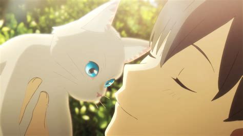 Netflix Announces “a Whisker Away” New Anime Film About Love Magic