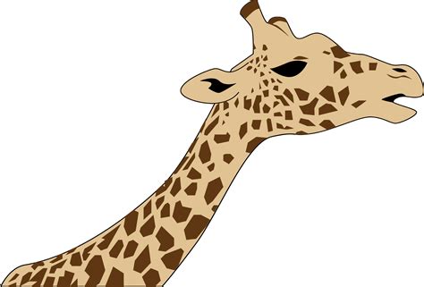 Clipart Giraffe Neck Clipart Giraffe Neck Transparent Free For