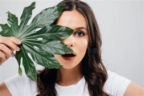 beauty portrait of an excited woman with short brunette hair posing with green leaf isolated