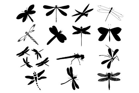Dragonfly Silhouette MasterBundles