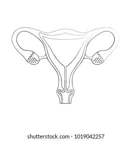 Vektor Stok Female Reproductive Organ Icon Tanpa Royalti