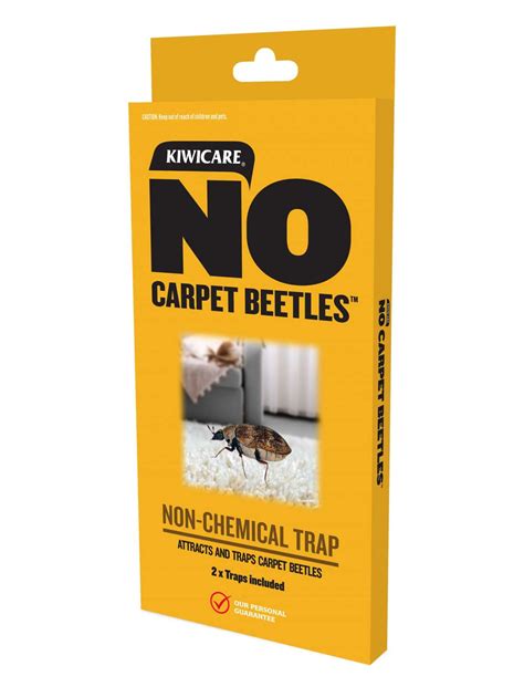 No Carpet Beetles Non Chemical Traps