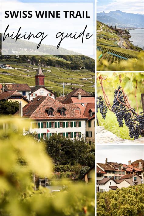 Everything You Need To Know About Hiking The Swiss Wine Trail In Lavaux
