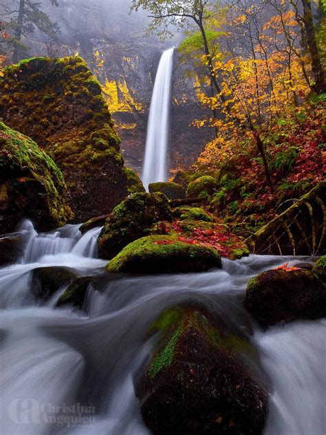Oregon Beautiful Waterfalls Waterfall