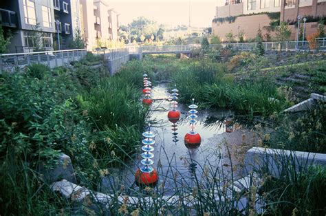 Thornton Creek Water Quality Channel At Northgate Seattle Wa — Gaynor Inc
