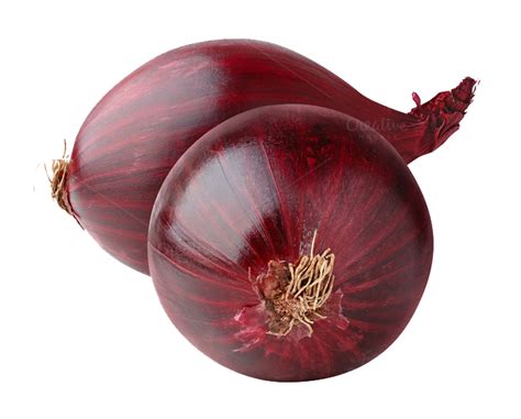 Collection Of Onion Hd Png Pluspng