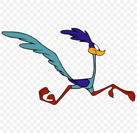 Wile E Coyote And The Road Runner Looney Tunes Clip Art Png