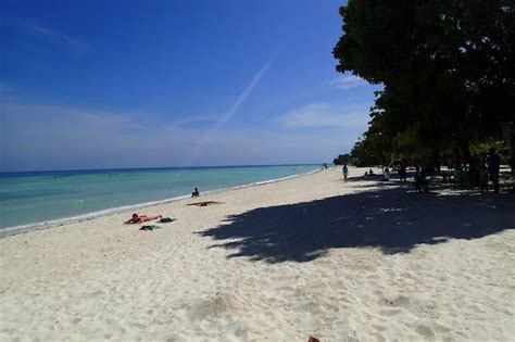 Bohols Best Beaches Travel Guide