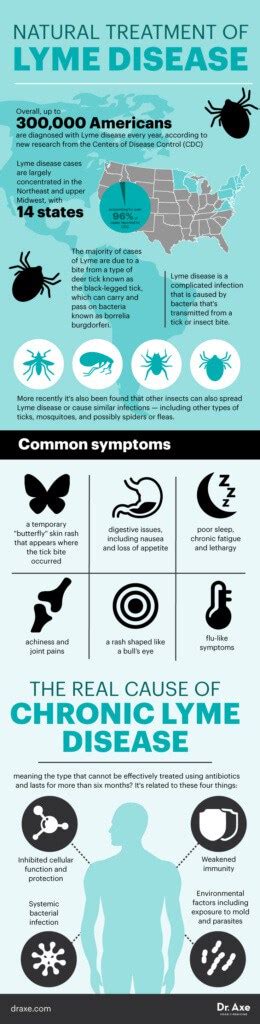 Lyme Disease Natural Treatments Causes How To Prevent Dr Axe