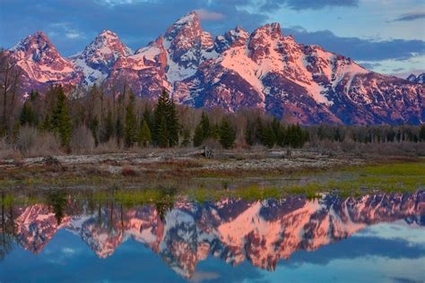 spring photography guide to grand tetons and yellowstone national parks usa by kamal chilaka
