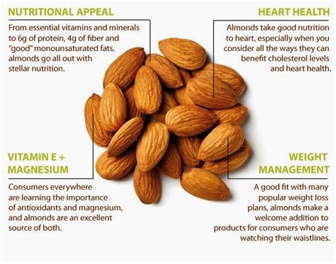 Health Benefits Of Almonds Noor Lifestyle