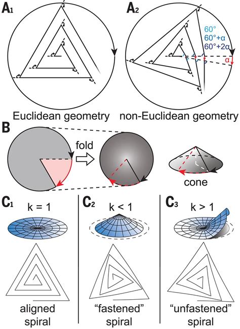 Non Euclidean Geometry Shapes