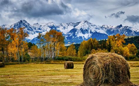 Wallpaper Field Nature Mountains Landscape Trees 1680x1050