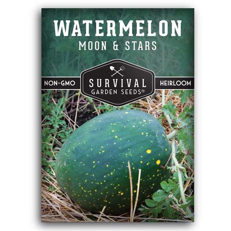 Moon And Stars Watermelon Seeds Survivalgardenseeds