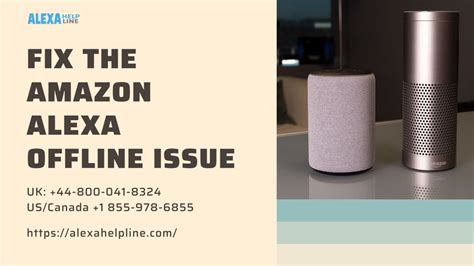How to Fix the Alexa Offline Issue? in 2020 | Alexa device ...