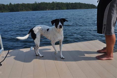 Listed earlier in the year for. Capturing More Fun at Smith Lake | Justin Dyar Real Estate