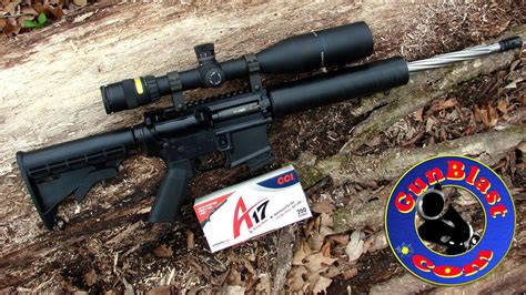Shooting The Alexander Arms Hmr Ar Semi Automatic Rifle