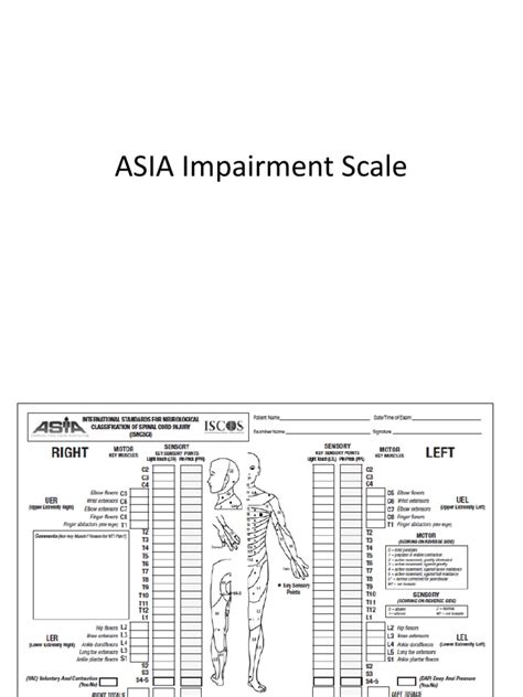 Asia Impairment Scale Spinal Cord Pain Free 30 Day Trial Scribd