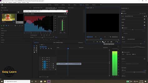The electronic sensor creates the noise in the camera (ccd) and measures the light for. How to reduce audio noise in Adobe Premiere Pro| Easy ...