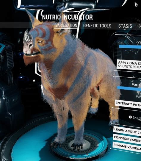 Kubrow Breeding A Full Guide 2018 Edition Players Helping Players