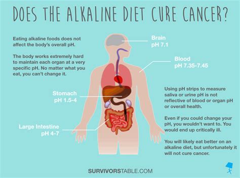 Does The Alkaline Diet Cure Cancer Survivors Table