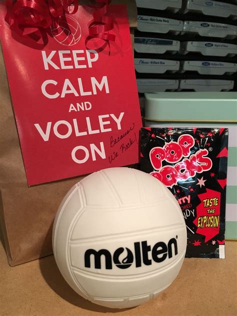 Keep Calm And Volley On Because We Rock Mini Volleyball T With Pop