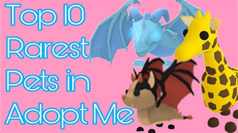 Top Rarest Pets In Adopt Me YouTube