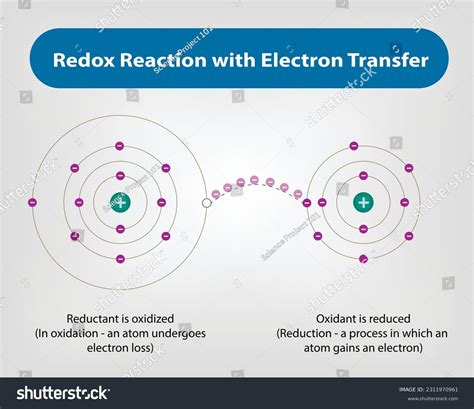 Redox Reaction With Electron Transfer Vector And Royalty Free Stock