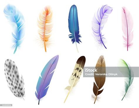 Realistic 3d Feathers Birds Colored Falling Fluffy Feathers Floating