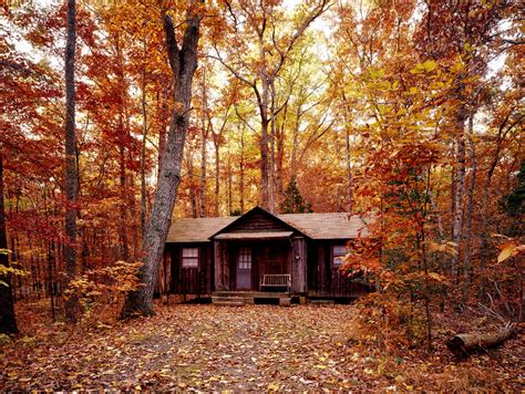 Free Images Landscape Tree Nature Forest Sunlight Leaf Fall