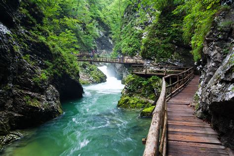 Bled Vintgar Gorge And Kozjak Waterfall Mark Szelistowski