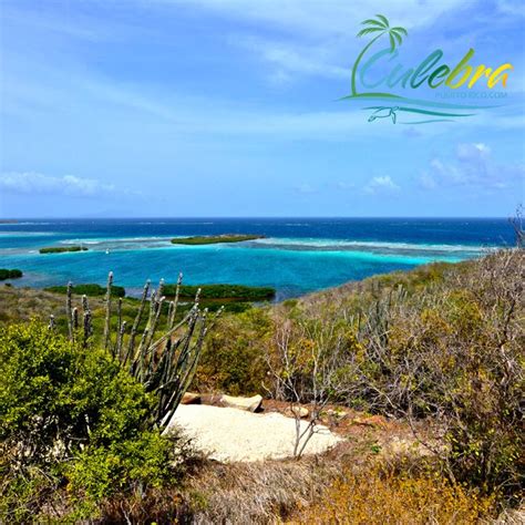 Top Things To Do In Culebra Puerto Rico Top Five For A Perfect Day