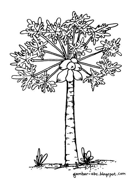 Detail Gambar Sketsa Pohon Mangga Koleksi Nomer 16
