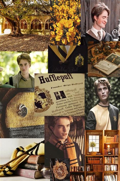 Cedric Diggory Hufflepuff Harry Potter Wallpaper Harry Potter Background Cedric Diggory
