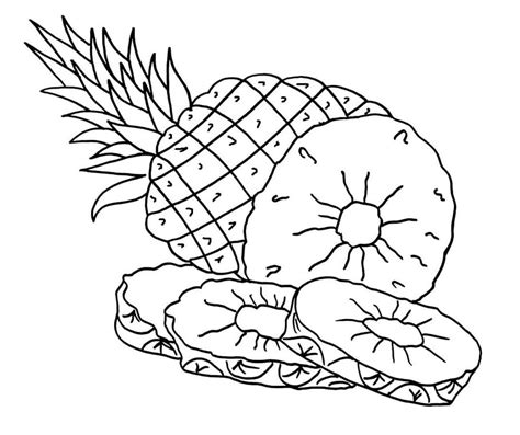 Pineapple Fruit Coloring Page Download Print Or Color Online For Free