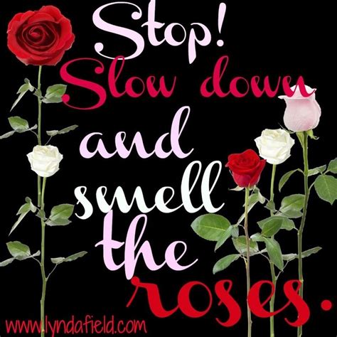 This rose is an extra. Slow Down And Smell The Roses Quotes. QuotesGram