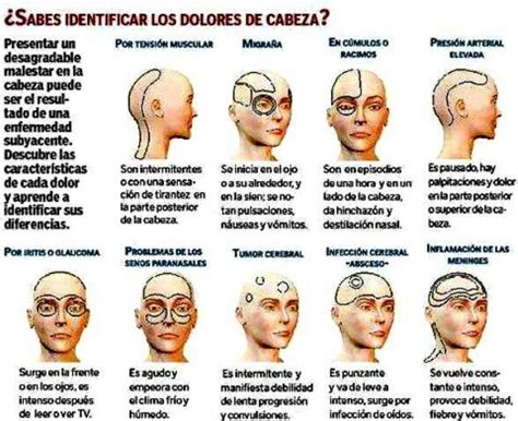 Dolores De Cabeza Health Articles Health Info Health And Nutrition