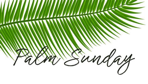 Your palm sunday stock images are ready. Top Palm Sunday Clip Art, Vector Graphics and ...