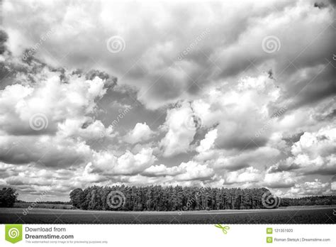 Landscape With Green Forest On Cloudy Blue Sky Stock Photo Image Of