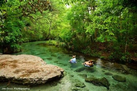 natural lazy river rock springs at kelly park in apopka is central florida s natural lazy